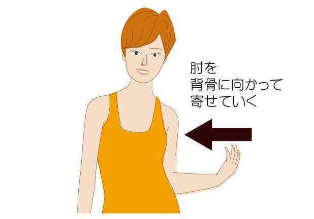 肩甲骨のバランサイズ